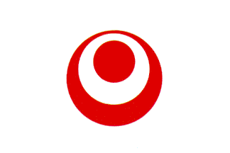 New Okinawan Flag from 1972